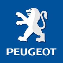 PEUGEOT 4211C4 - PLATO FRENO