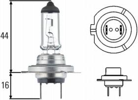 Amolux 779LL - LAMP.H-7 12V 55W LARGA DURACION